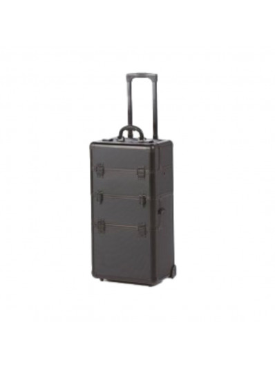 Trolley 2 En 1 Black Diamond Cadre Noir