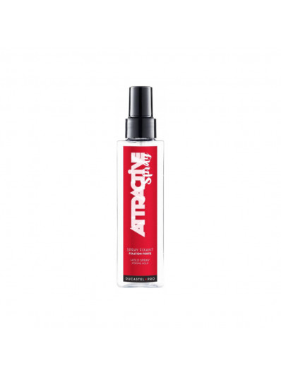 Spray Fixant Ducastel Pro 200ml