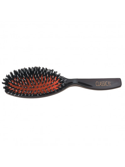 Brosses Ovales Classic  Pneumatique  Sanglier Et Nylon